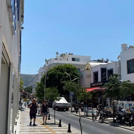 Aile Apartmani, Teras Kat Daire * بودروم