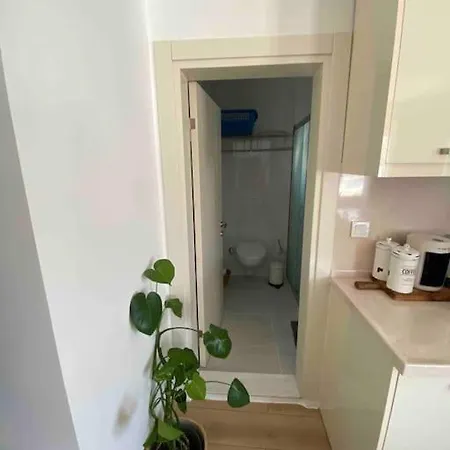 Aile Apartmani, Teras Kat Daire بودروم